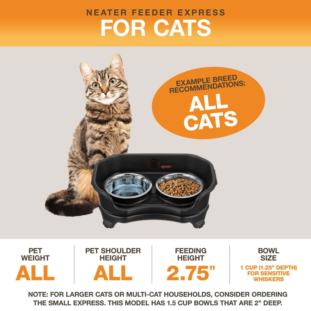 Elevated Mess-Proof Pet Feeding Station, Spill-Containment Design and Dishwasher-Safe Stainless Steel Bowls source image 72