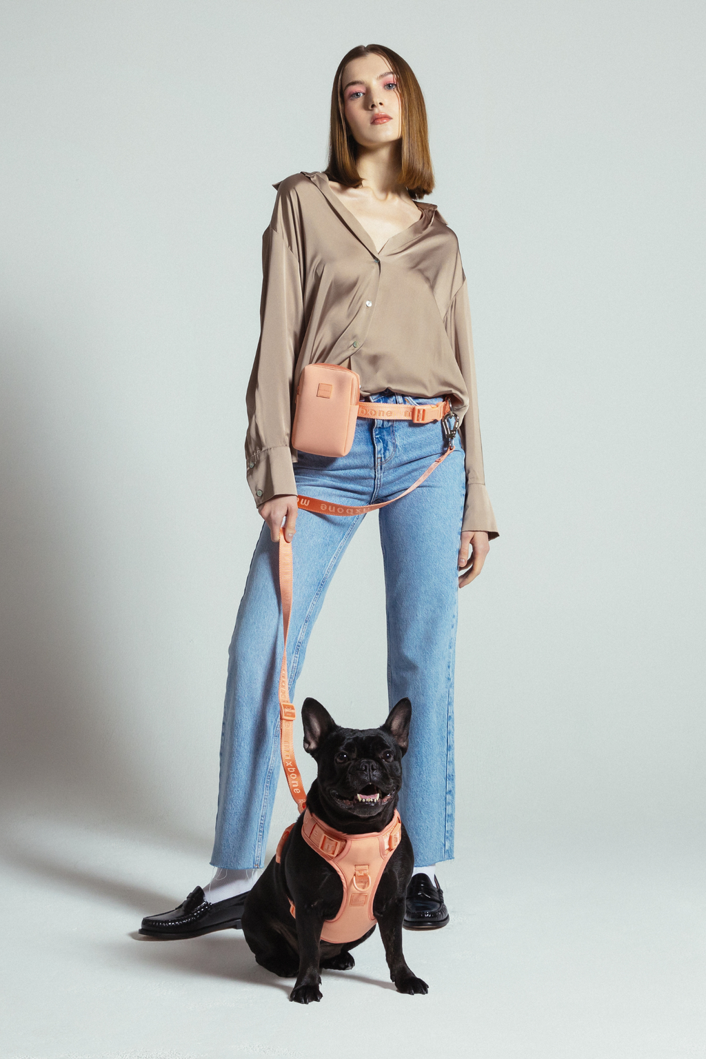 Hands-Free Dog Walking Set for Waist or Shoulder Wear, Neoprene Harness and Compact Pouch Bundle source image 72