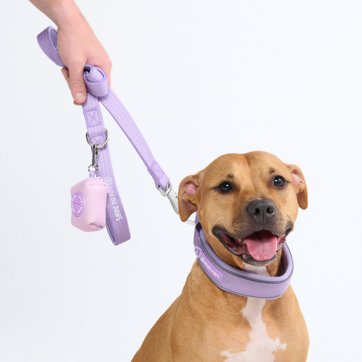 Cushioned Martingale Dog Collar for Gentle Leash Guidance, Limited-Cinch Design in Five Sizes source image 73