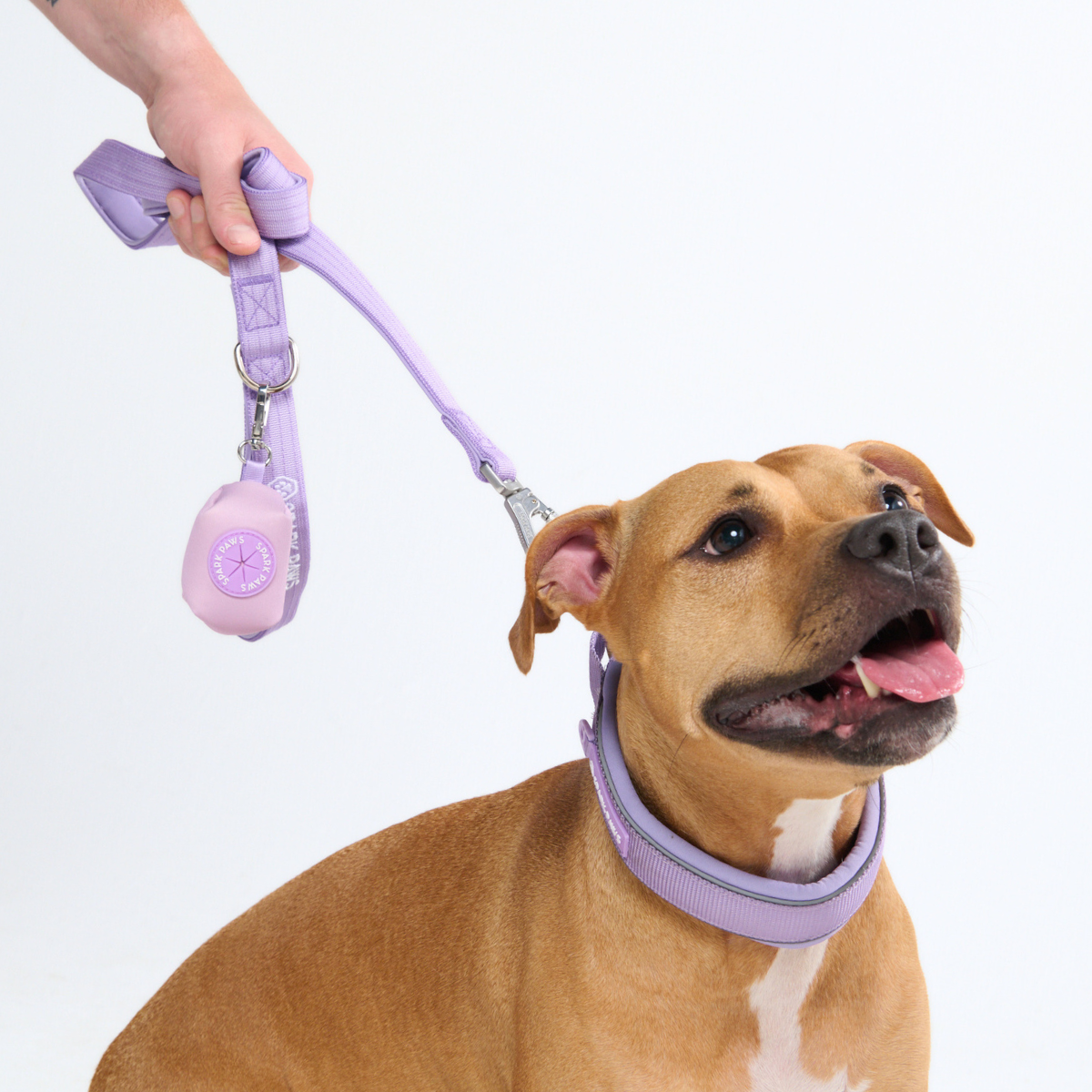 Cushioned Martingale Dog Collar for Gentle Leash Guidance, Limited-Cinch Design in Five Sizes source image 74