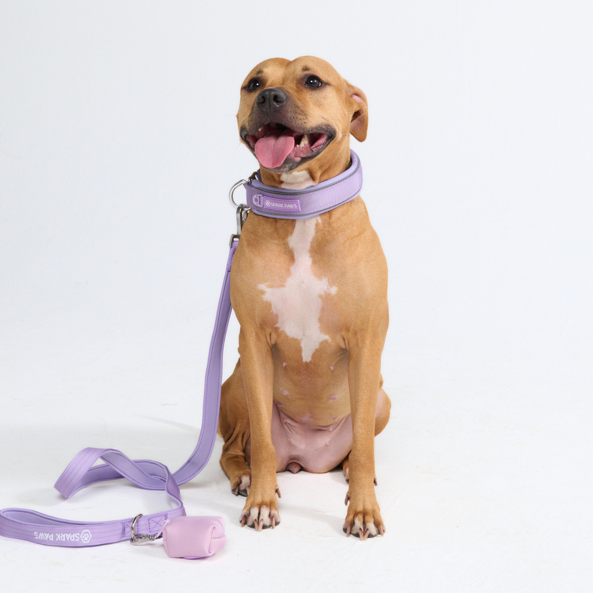 Cushioned Martingale Dog Collar for Gentle Leash Guidance, Limited-Cinch Design in Five Sizes source image 75