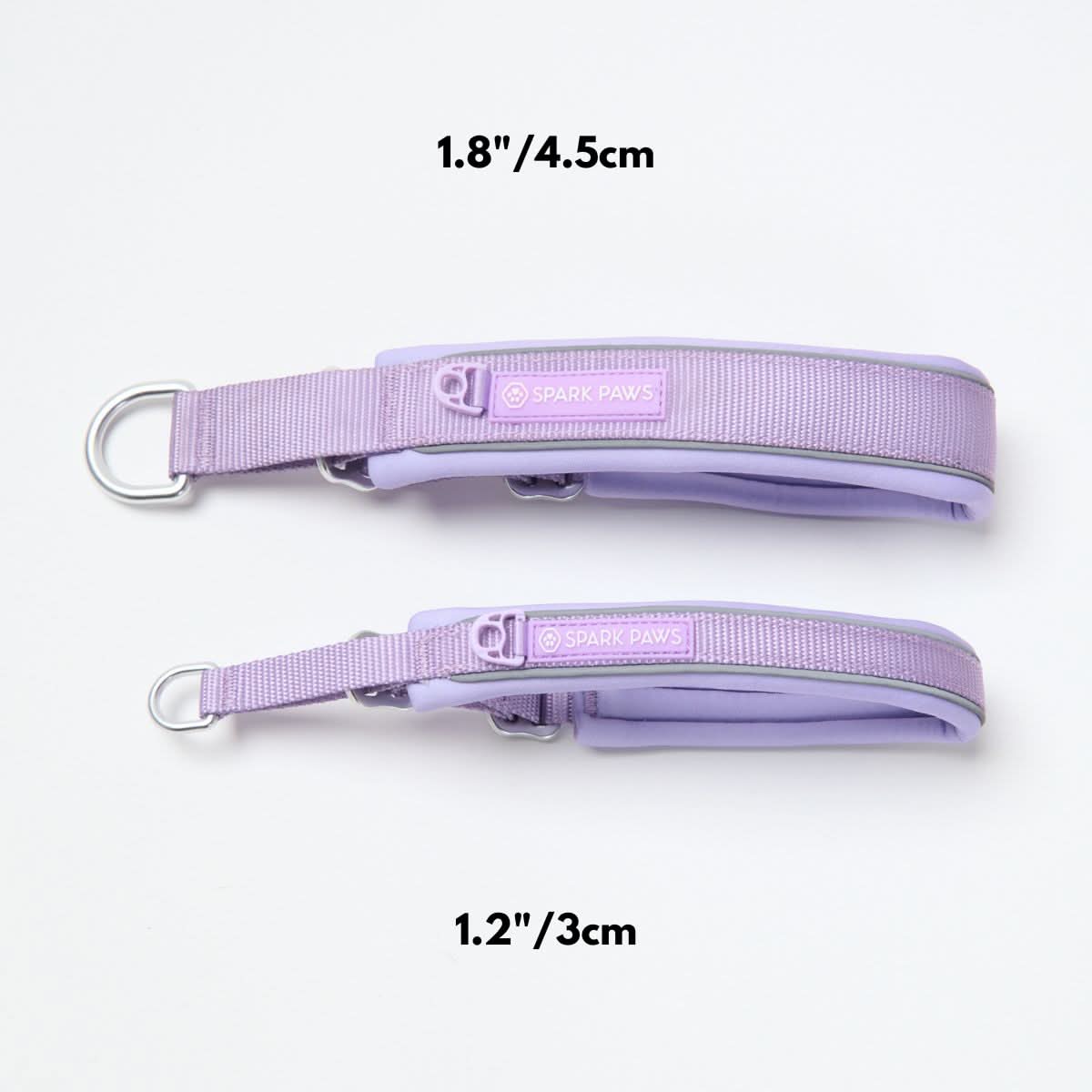 Cushioned Martingale Dog Collar for Gentle Leash Guidance, Limited-Cinch Design in Five Sizes source image 76
