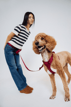 Hands-Free Dog Walking Set for Waist or Shoulder Wear, Neoprene Harness and Compact Pouch Bundle source image 77