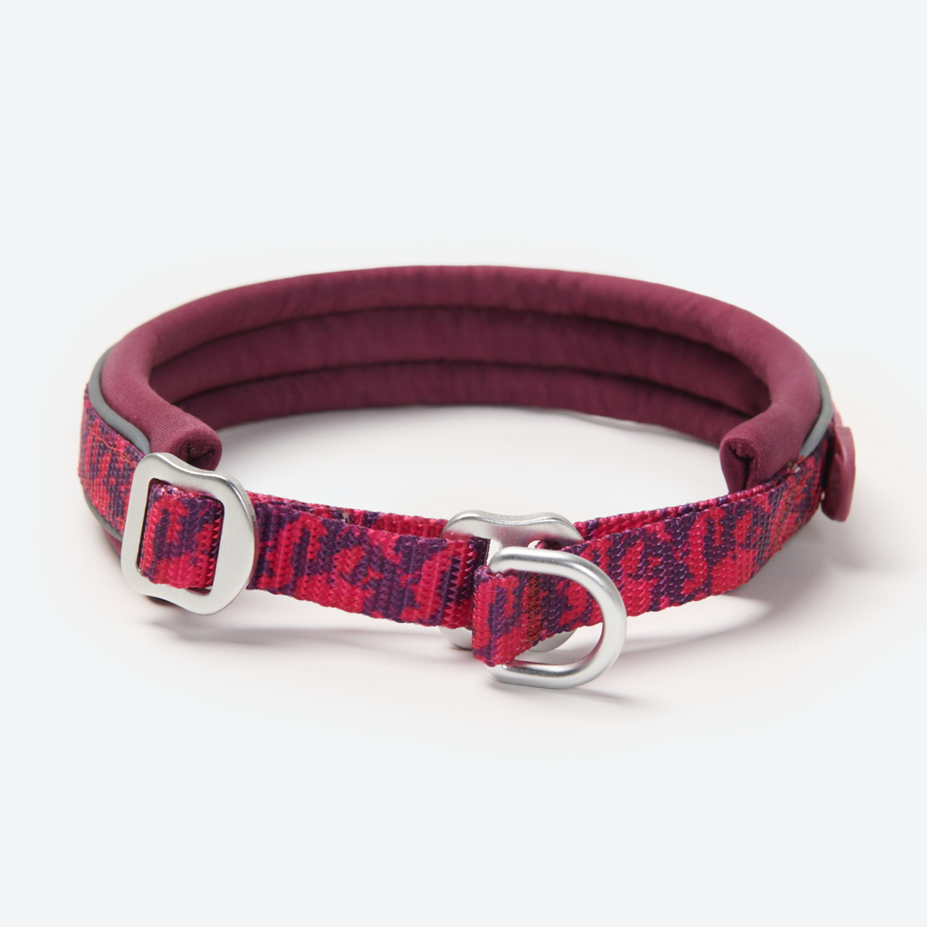 Cushioned Martingale Dog Collar for Gentle Leash Guidance, Limited-Cinch Design in Five Sizes source image 78
