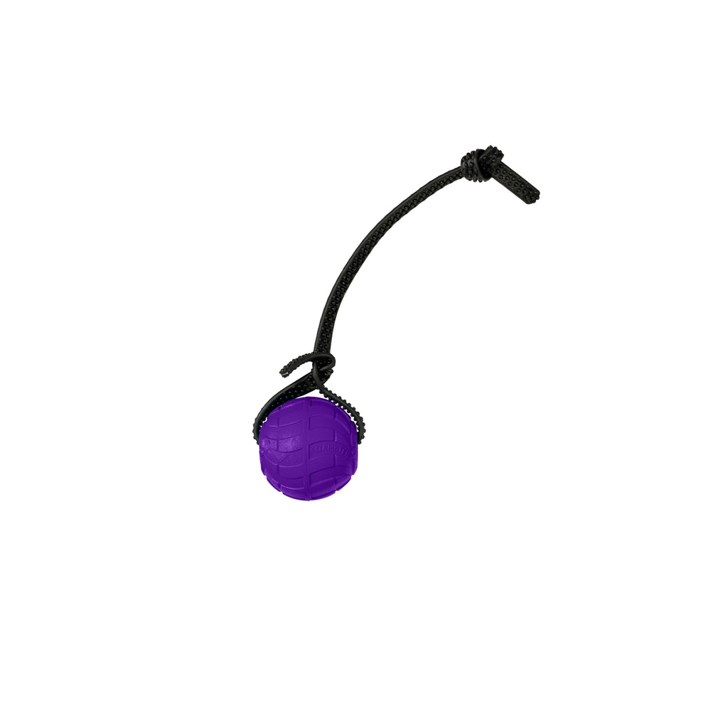 Foam Dog Ball with Grip Strap product image 78