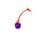 Foam Dog Ball with Grip Strap product image 79