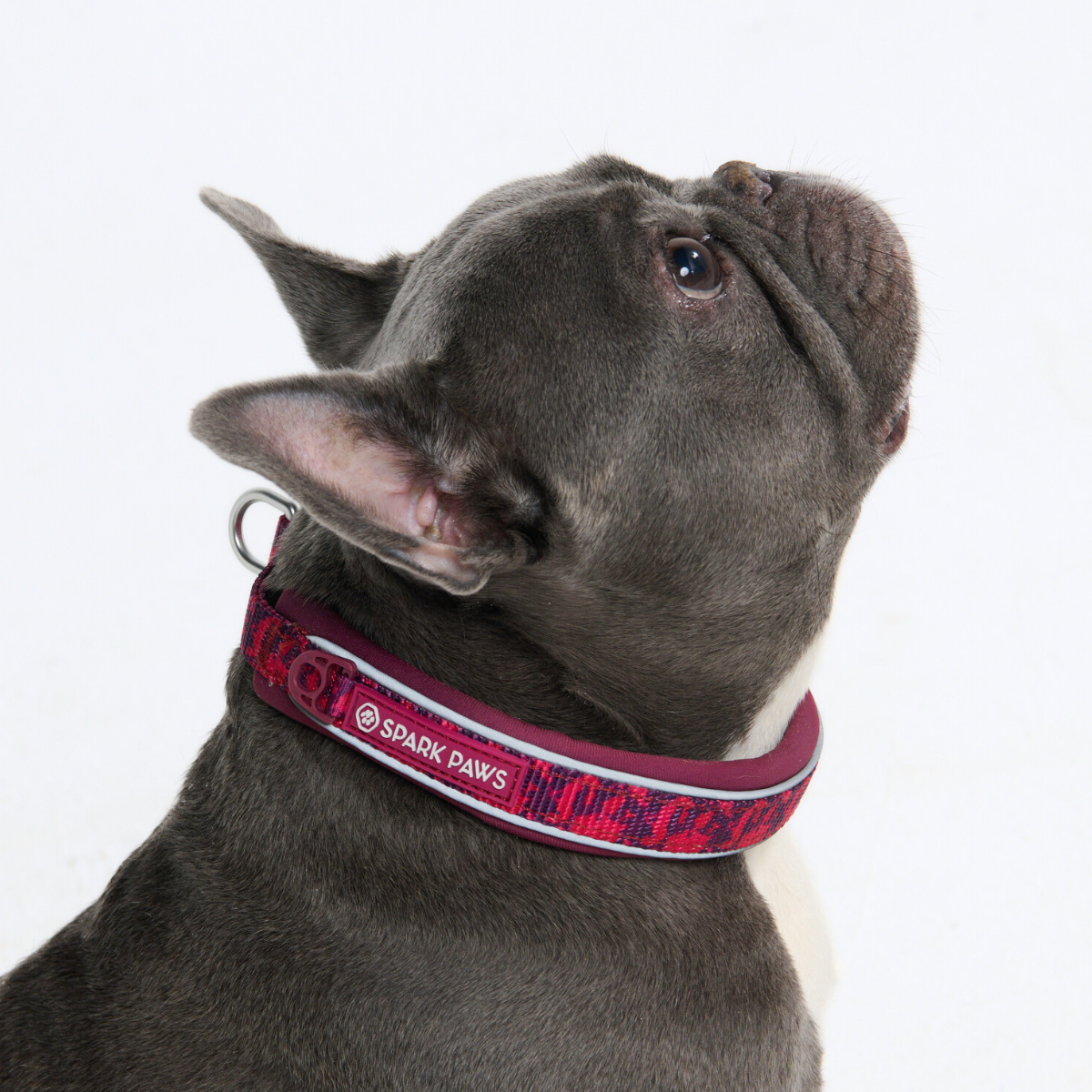 Cushioned Martingale Dog Collar for Gentle Leash Guidance, Limited-Cinch Design in Five Sizes source image 80