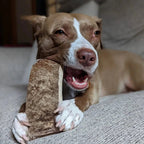 Moose Antler Paddle Dog Chew product image 6