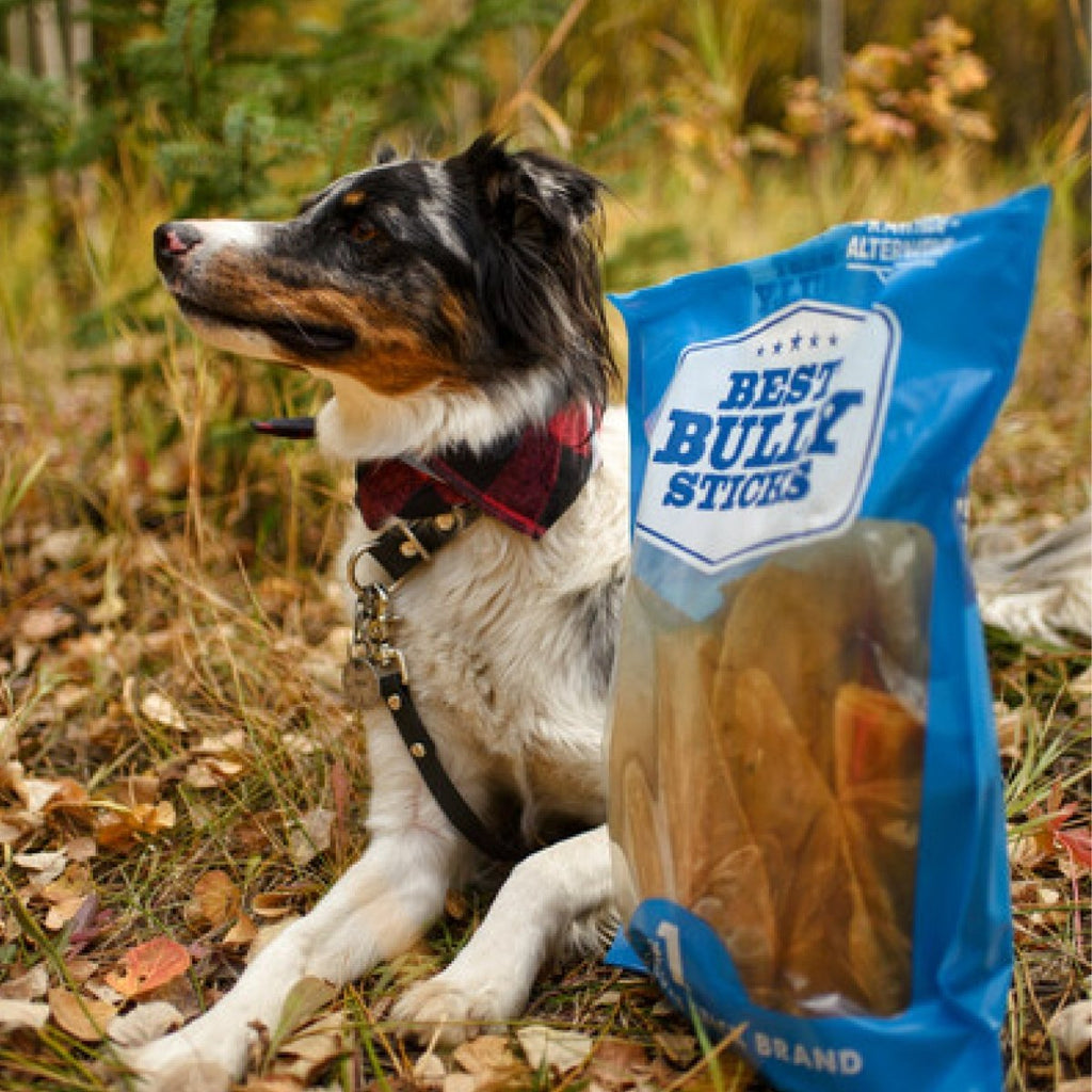 Cow Ear Dog Chews product image 3