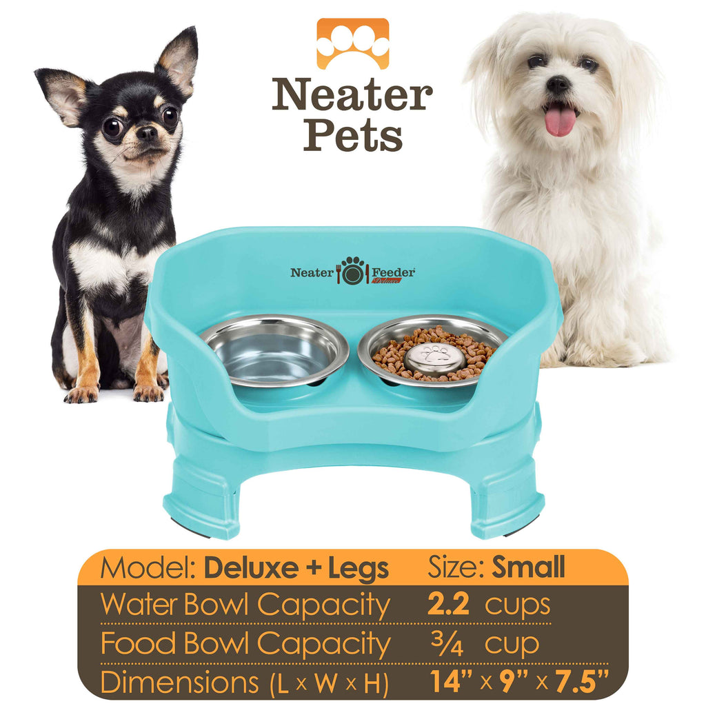 Elevated Slow Feeder Station for Dogs, Stainless Steel Bowl Set and Spill-Catching Basin in Three Sizes source image 82