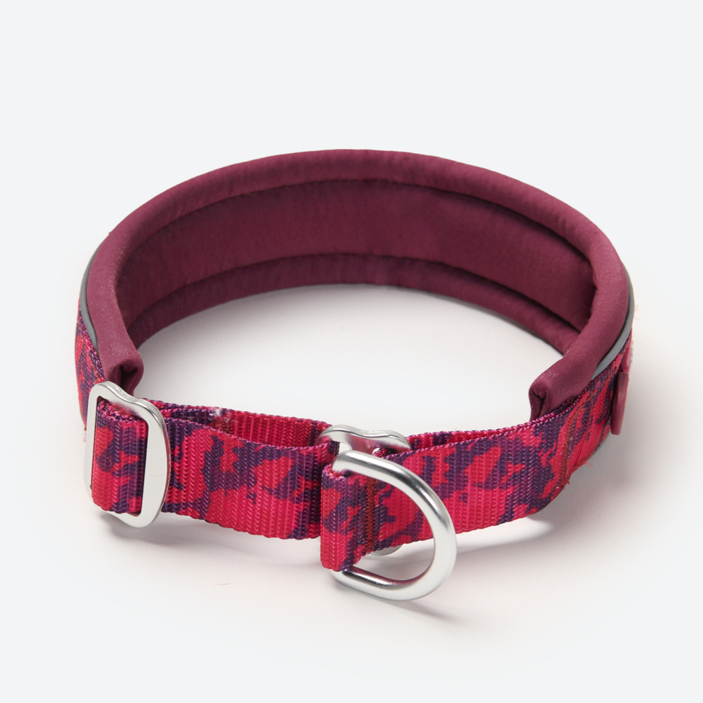 Cushioned Martingale Dog Collar for Gentle Leash Guidance, Limited-Cinch Design in Five Sizes source image 83