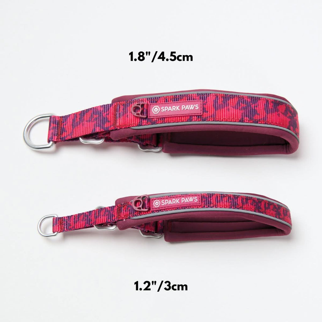 Cushioned Martingale Dog Collar for Gentle Leash Guidance, Limited-Cinch Design in Five Sizes source image 86