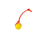 Foam Dog Ball with Grip Strap product image 86
