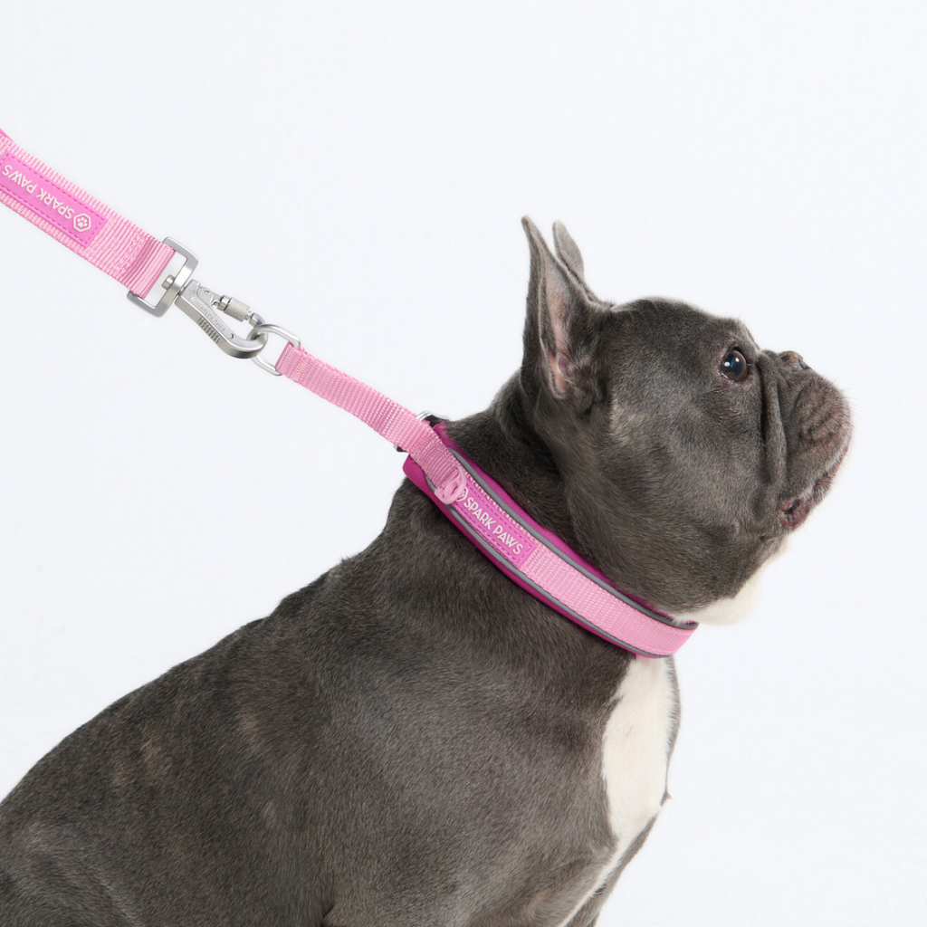 Cushioned Martingale Dog Collar for Gentle Leash Guidance, Limited-Cinch Design in Five Sizes source image 89