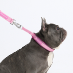 Cushioned Martingale Dog Collar for Gentle Leash Guidance, Limited-Cinch Design in Five Sizes source image 89