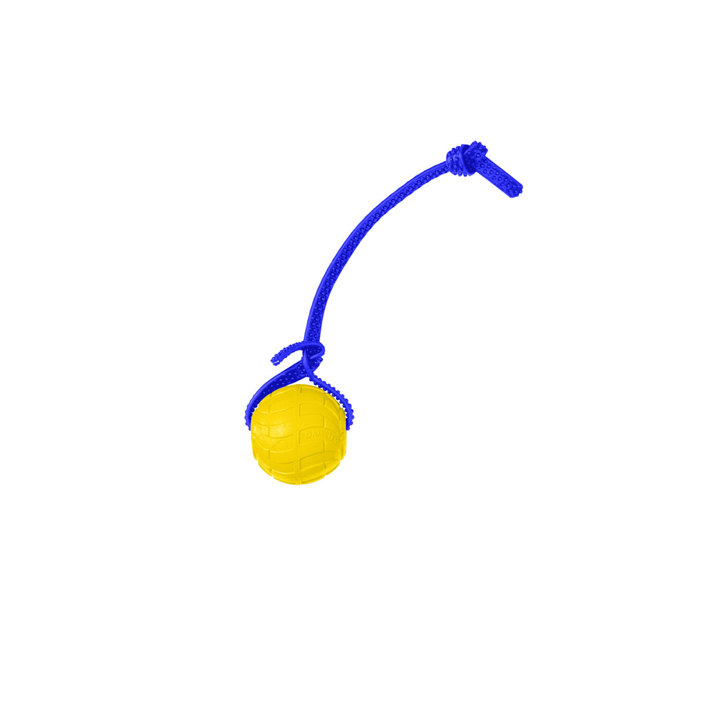 Foam Dog Ball with Grip Strap product image 89