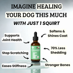 Liquid Collagen Supplement for Dogs product image 5