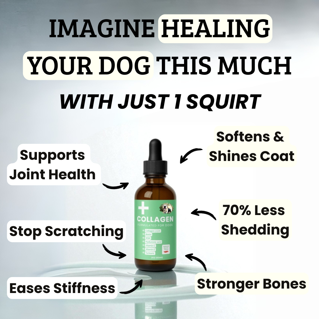 Liquid Collagen Supplement for Dogs product image 5