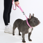 Cushioned Martingale Dog Collar for Gentle Leash Guidance, Limited-Cinch Design in Five Sizes source image 91