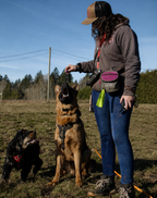 Dog Treat Pouch product image 92