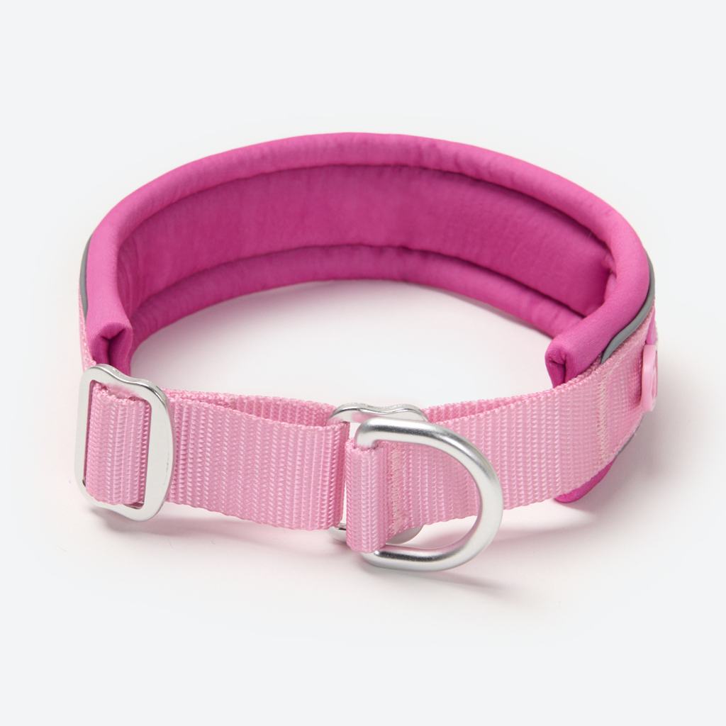 Cushioned Martingale Dog Collar for Gentle Leash Guidance, Limited-Cinch Design in Five Sizes source image 93