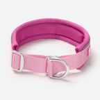Cushioned Martingale Dog Collar for Gentle Leash Guidance, Limited-Cinch Design in Five Sizes source image 93