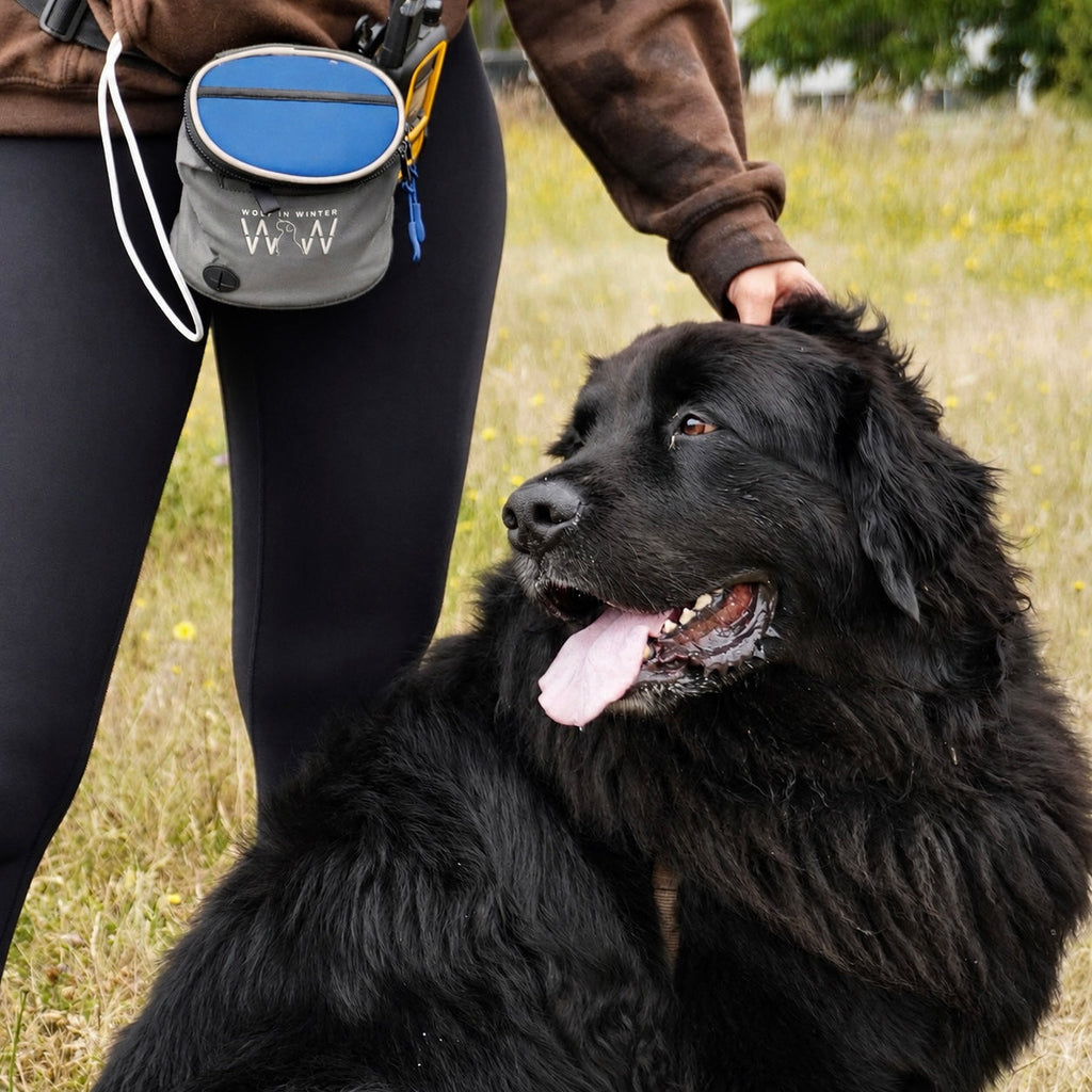 Dog Treat Pouch product image 93