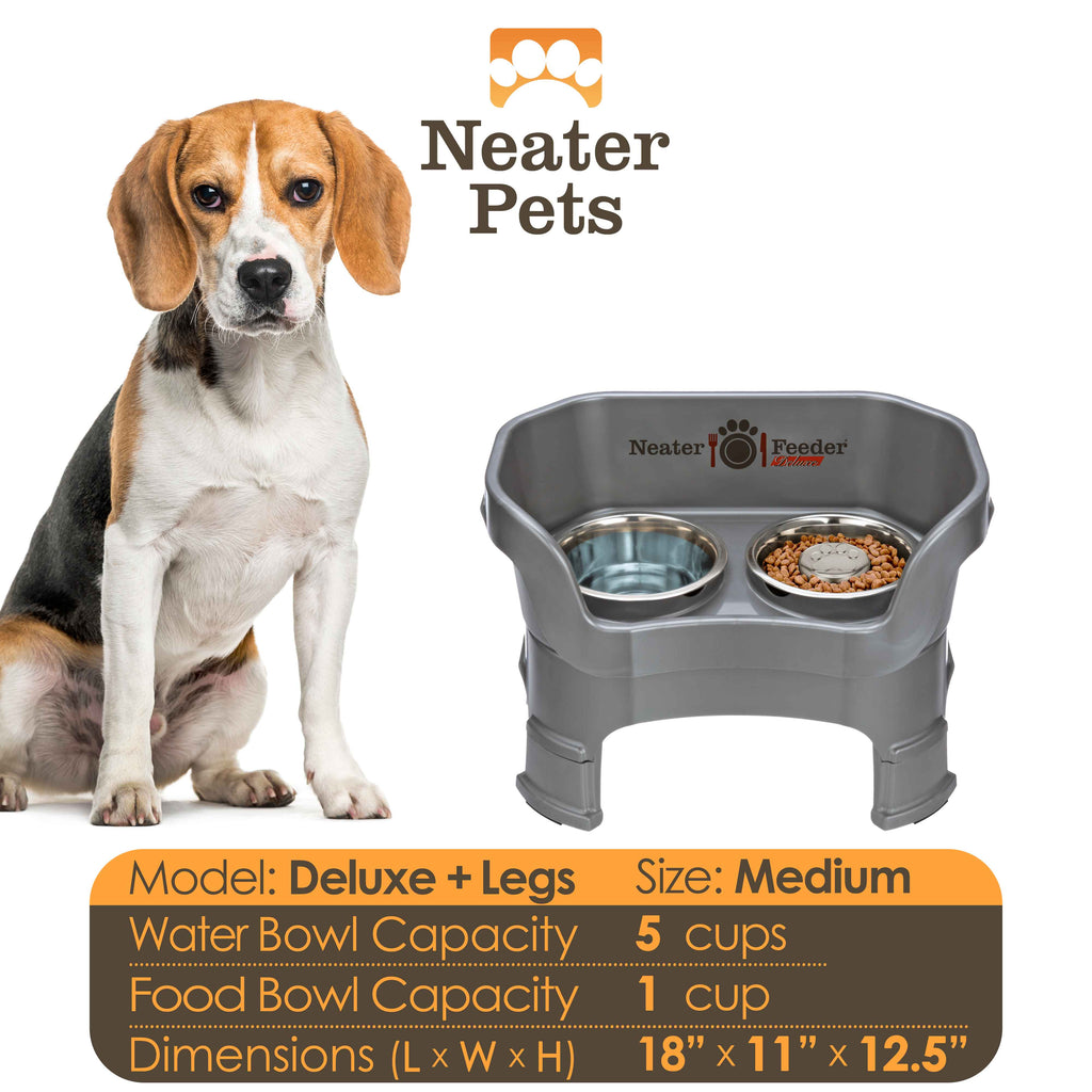 Elevated Slow Feeder Station for Dogs, Stainless Steel Bowl Set and Spill-Catching Basin in Three Sizes source image 94