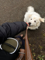 Dog Treat Pouch product image 94
