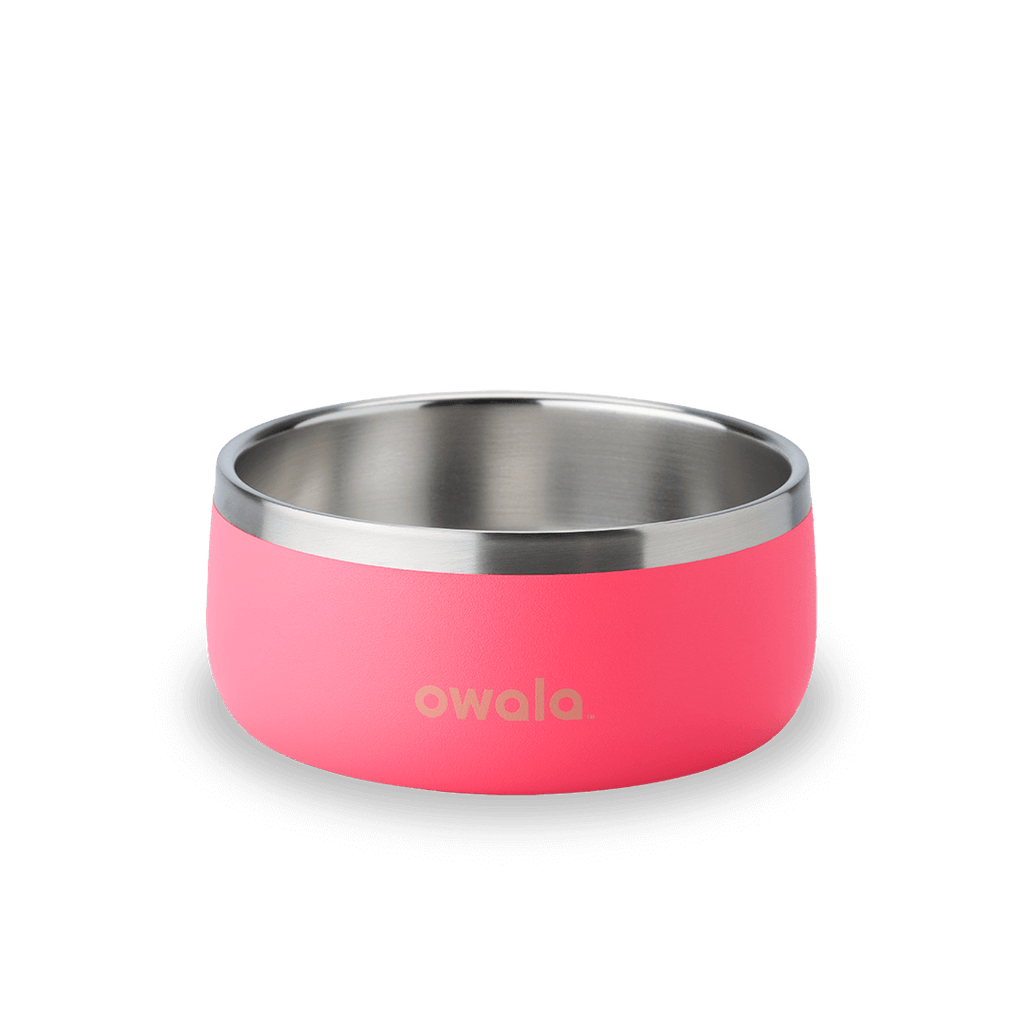 Stainless Steel Pet Bowl product image 5