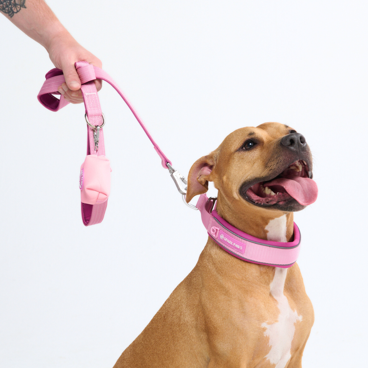 Cushioned Martingale Dog Collar for Gentle Leash Guidance, Limited-Cinch Design in Five Sizes source image 95
