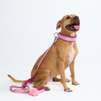 Cushioned Martingale Dog Collar for Gentle Leash Guidance, Limited-Cinch Design in Five Sizes source image 96