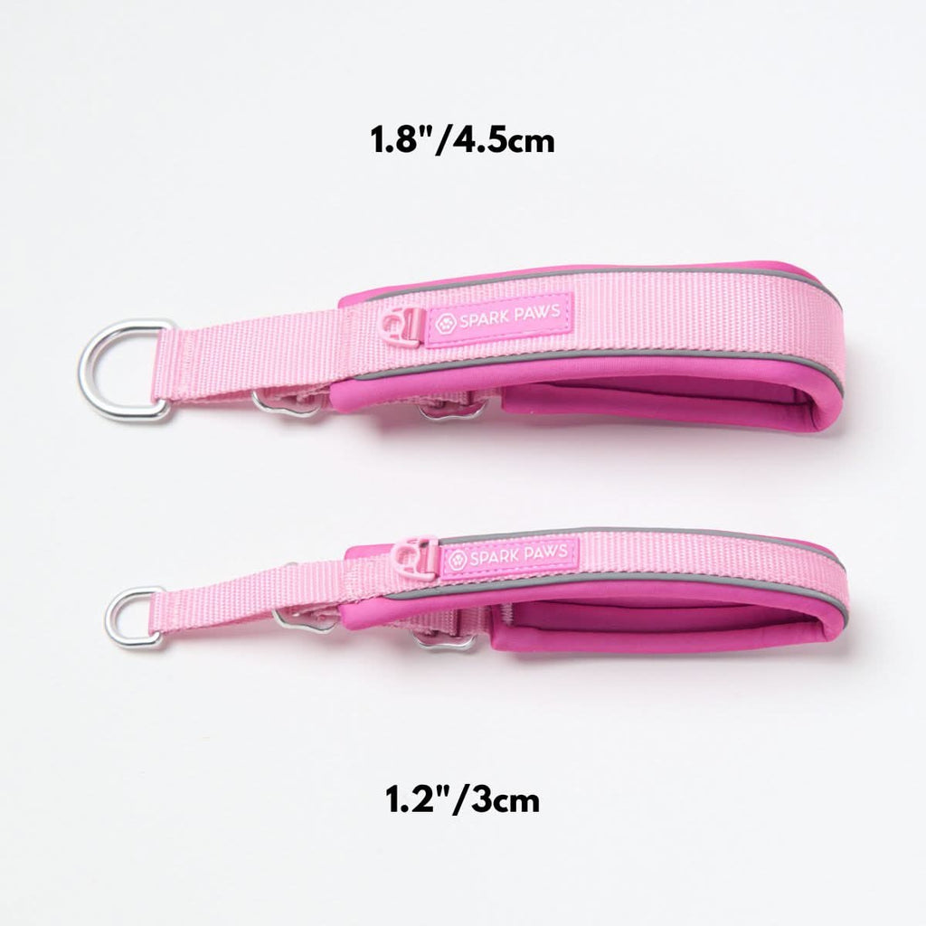 Cushioned Martingale Dog Collar for Gentle Leash Guidance, Limited-Cinch Design in Five Sizes source image 97