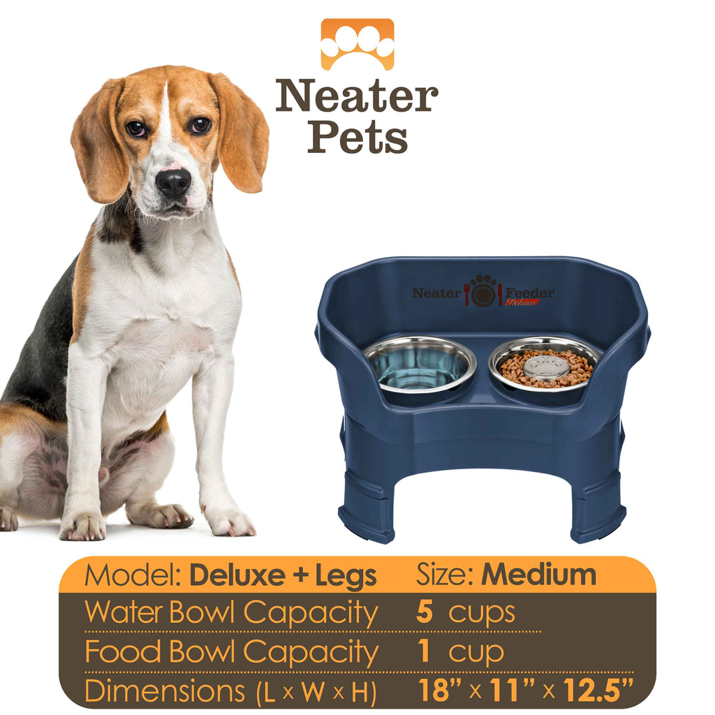 Elevated Slow Feeder Station for Dogs, Stainless Steel Bowl Set and Spill-Catching Basin in Three Sizes source image 97