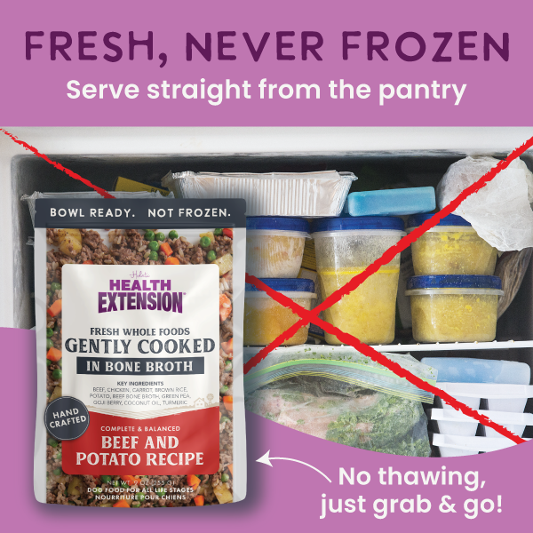 Gently Cooked Beef Dog Food product image 3