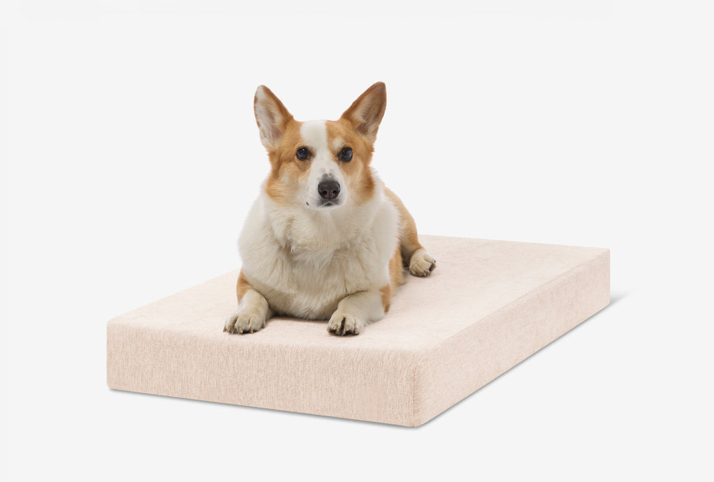 Orthopedic Dog Crate Bed product image 32