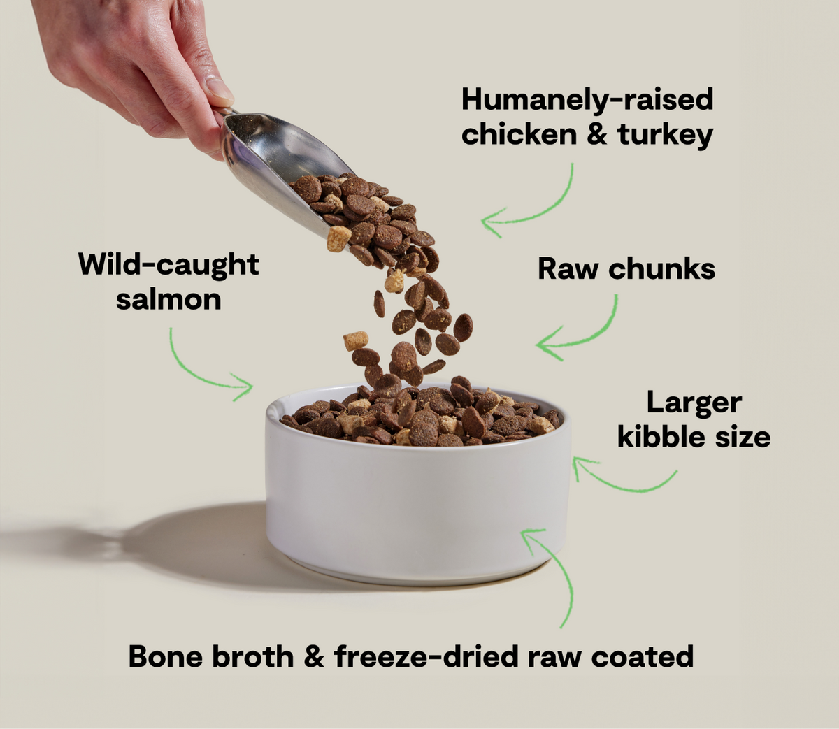 Large-Breed Ancient Grains Dog Kibble product image 5