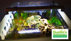 Double-Row Planted Aquarium LED Light product image 11