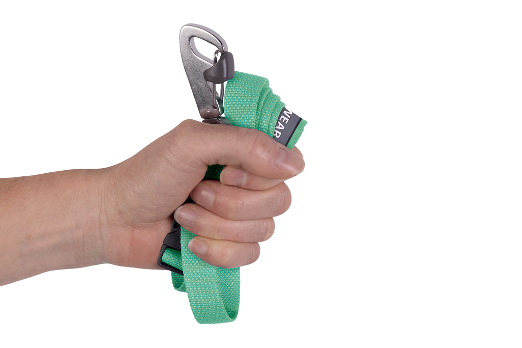 Hands-Free Dog Leash product image 26