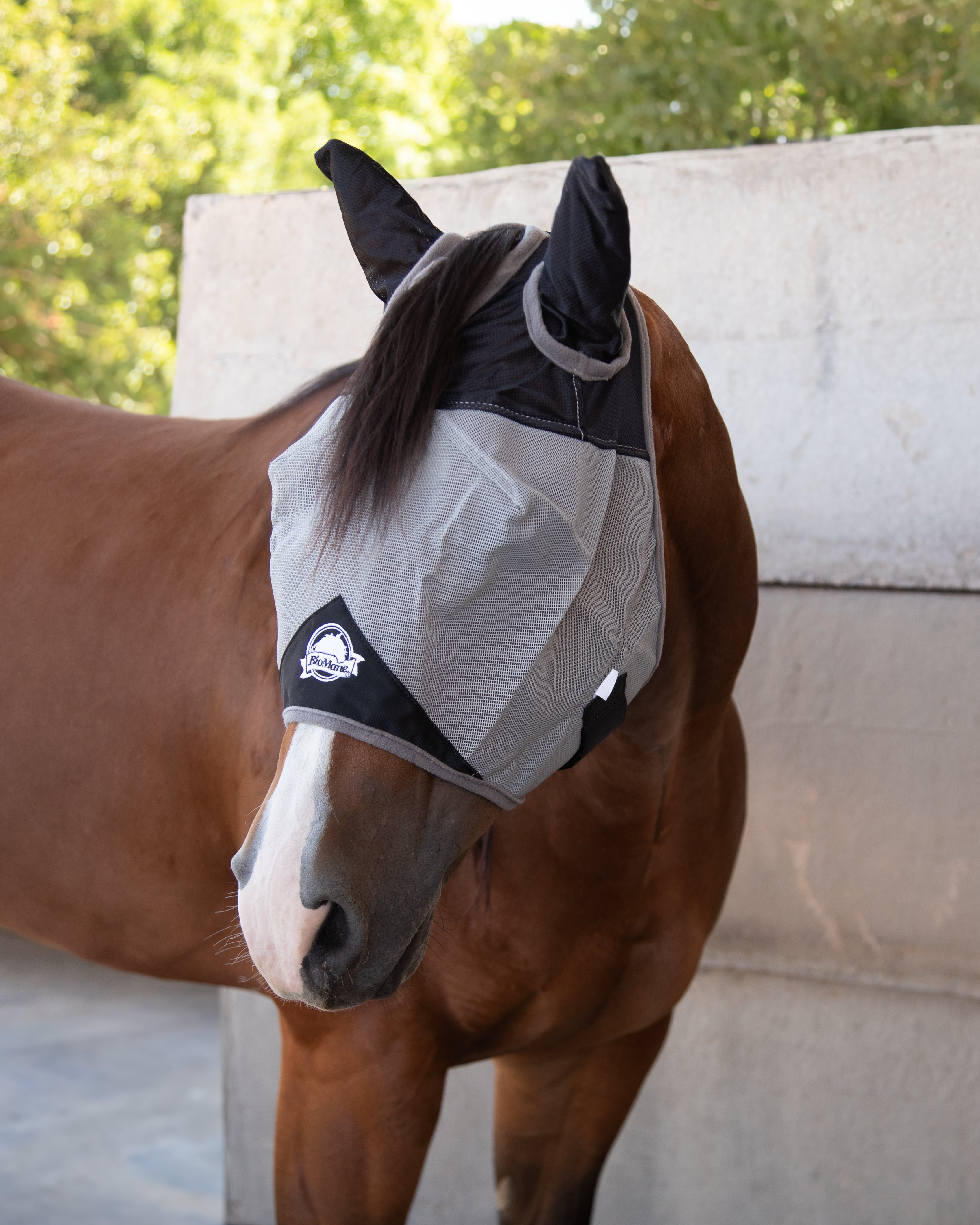 Quarter Horse Fly Mask Quarter Horse - Grey