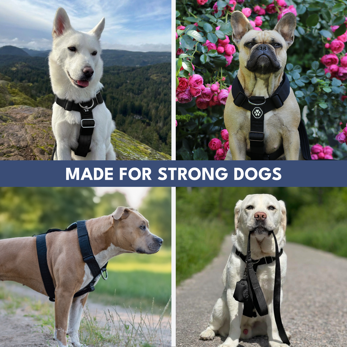 No-Pull Dog Harness Walking Set product image 27