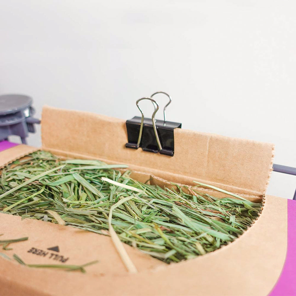 Orchard Hay Boxes for Small Pets product image 5