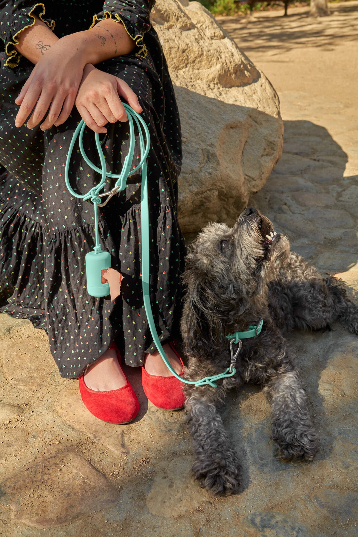 Leash-Attached Dog Waste Bag Dispenser product image 71