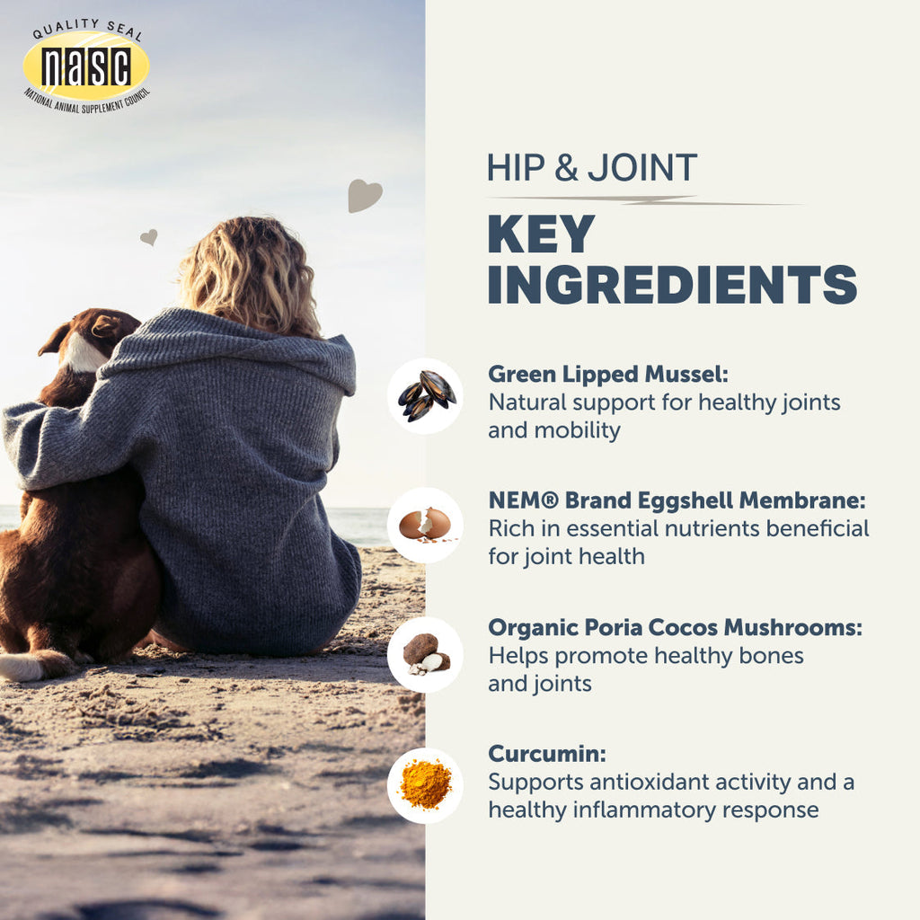 Hip and Joint Supplement Powder for Dogs product image 10