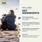 Hip and Joint Supplement Powder for Dogs product image 10