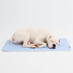 Breathable Cooling Dog Mat product image 93