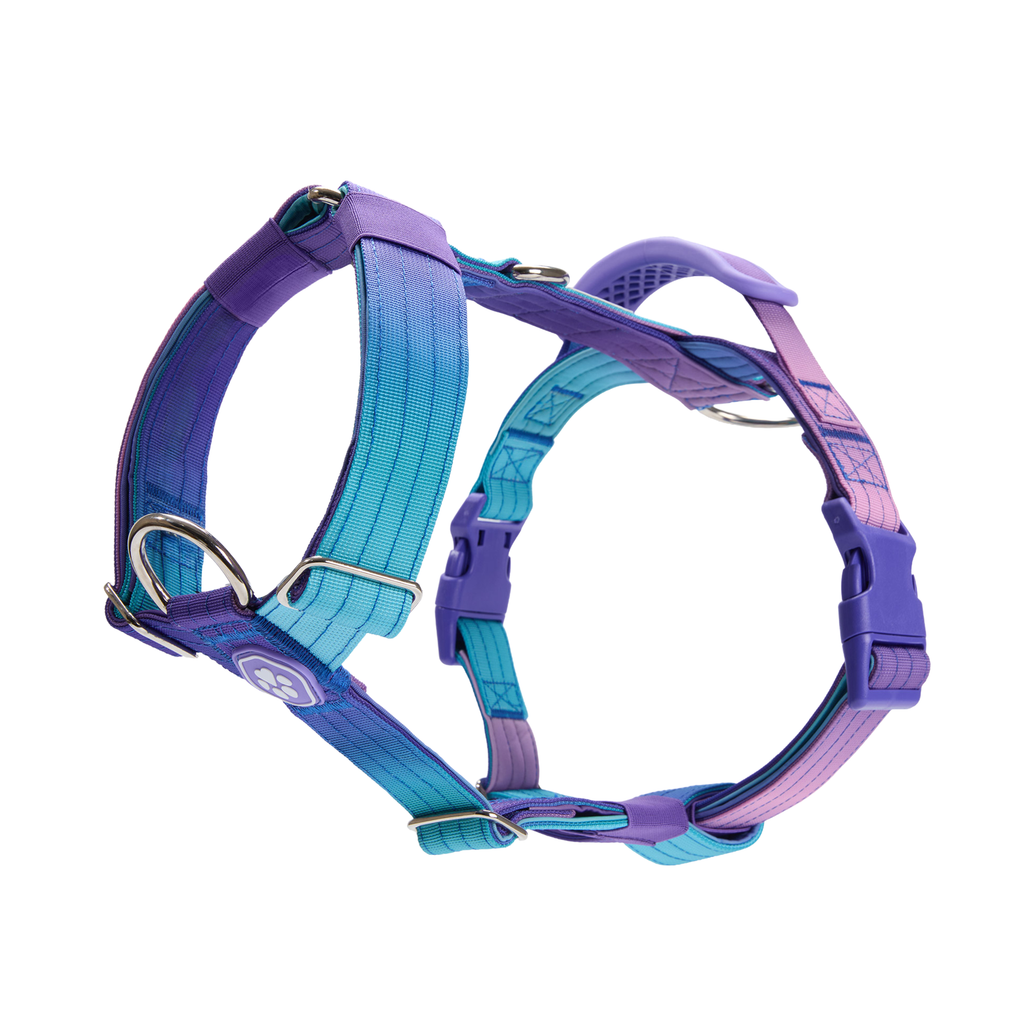 No-Pull Dog Harness product image 1
