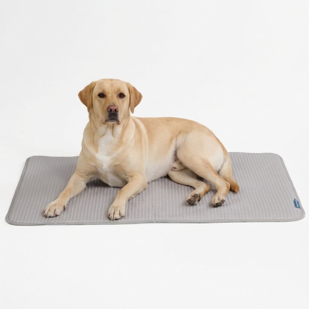 Breathable Cooling Dog Mat product image 32