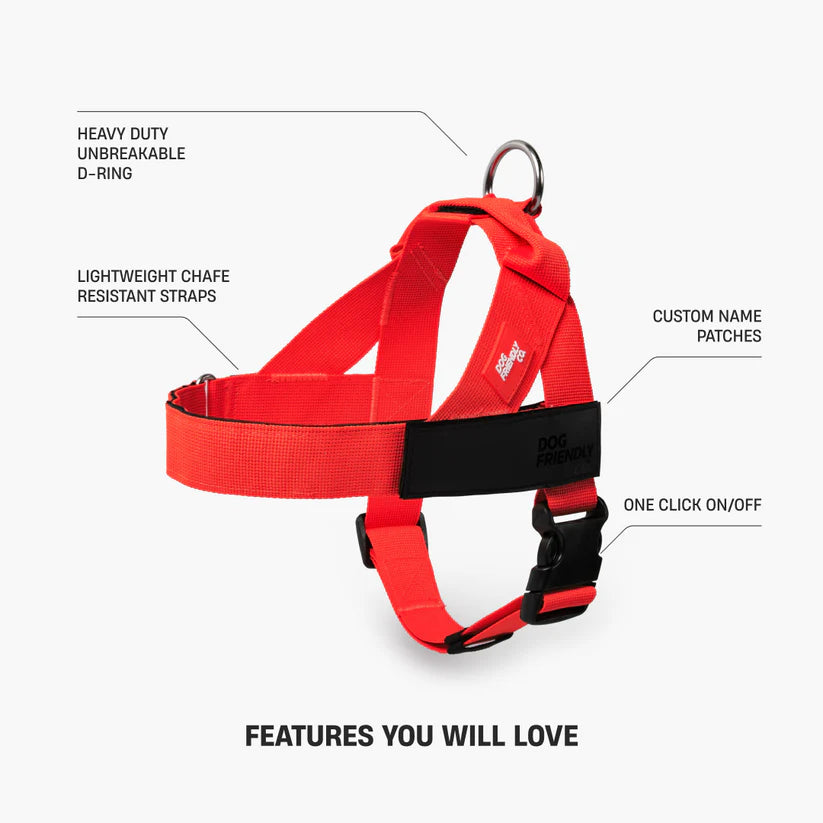 Adjustable Grab-Handle Dog Harness product image 31