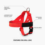 Adjustable Grab-Handle Dog Harness product image 31